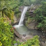 Grenada Half Day Tour: Fort, Spice, Falls, Chocolate & Lunch Stop - A Closer Look at the Itinerary