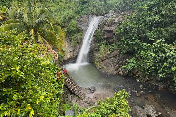 Grenada Half Day Tour: Fort, Spice, Falls, Chocolate & Lunch Stop - A Closer Look at the Itinerary