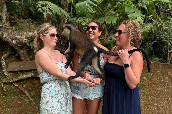 Grenada Nature and Heritage Escape Private Tour with Pickup - An In-Depth Look at the Itinerary