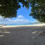 Grenada: Spice and Herb Garden Tour with Beach Visit - Why This Tour Offers Great Value