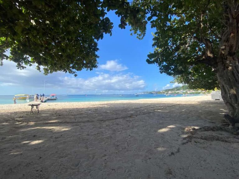 Grenada: Spice and Herb Garden Tour with Beach Visit - Why This Tour Offers Great Value