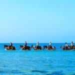Group Beach and Ocean Horseback Adventure in Providenciales - Analyzing the Experience’s Value