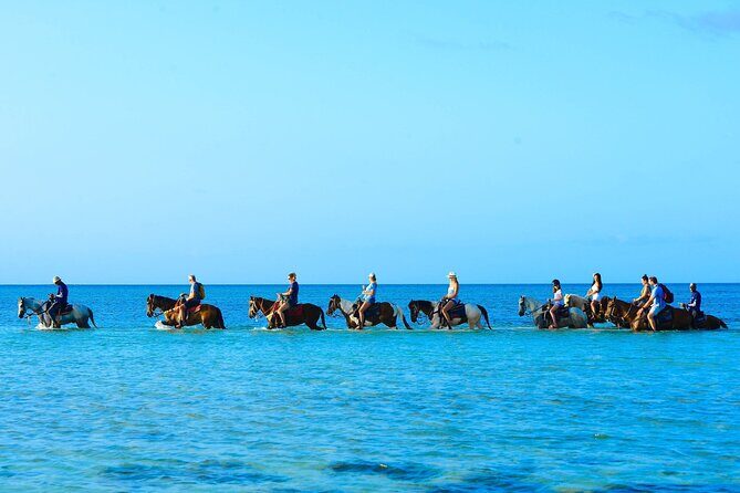 Group Beach and Ocean Horseback Adventure in Providenciales - Analyzing the Experience’s Value