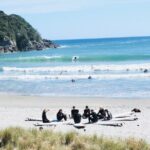 Group Beginner Surf Lesson in Mount Maunganui - The Itinerary Breakdown