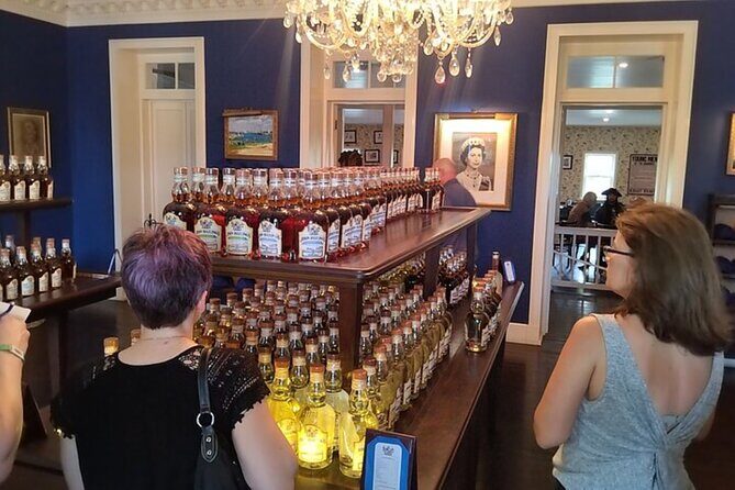 Group City Tour and Beach Experience from Cruise Port - Final Thoughts: Is This Tour Worth It?