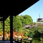 Group Shore Excursion Kyoto Highlights from Osaka or Kobe Port - Who Will Love This Tour?