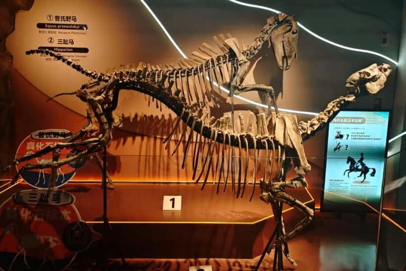 Guangzhou: Grandview Museum of Nature Science Ticket - What You Can Expect During Your Visit