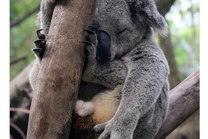 Guangzhou Private Safari Tour with Ride - What Sets This Tour Apart?