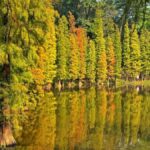 Guangzhou to Foshan Sanshui: Ancient Village, Creative Block - An In-Depth Look at the Tour Experience