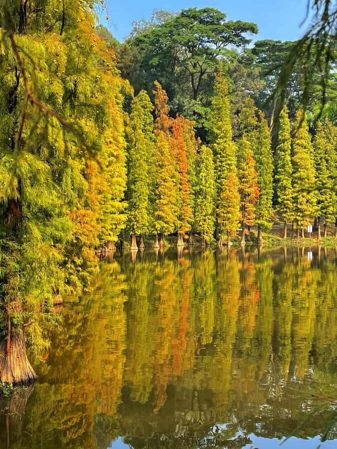 Guangzhou to Foshan Sanshui: Ancient Village, Creative Block - An In-Depth Look at the Tour Experience