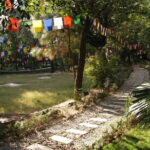 Guided 6 hrs Dharamshala's Tibetan monasteries & Nunnery tour - Serene Stop at Tse Chok Ling Monastery