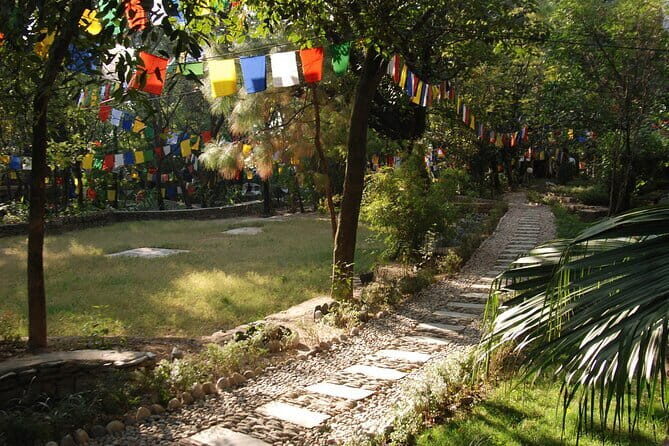 Guided 6 hrs Dharamshala's Tibetan monasteries & Nunnery tour - Serene Stop at Tse Chok Ling Monastery