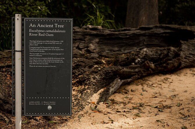 Guided Aboriginal Cultural Tour of Adelaide Botanic Garden - Frequently Asked Questions