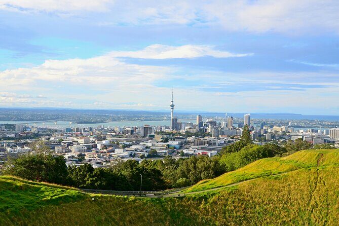 Guided Auckland Highlights Half Day City Tour - A Closer Look at the Itinerary