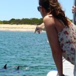 Guided Dolphin Eco-Cruise in Koombana Bay - The Itinerary: What To Expect