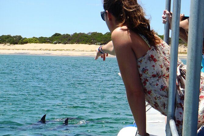 Guided Dolphin Eco-Cruise in Koombana Bay - The Itinerary: What To Expect