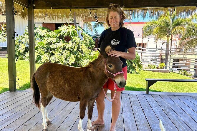 Guided Hike with Miniature Donkeys to a Secluded Beach - Detailed Breakdown of the Itinerary