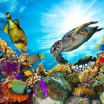 Guided Kayak Tour from Elysian - Marine Life and Scenic Highlights