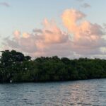 Guided Kayak Tour of Salt River Bay Ecology and History - What To Expect From the Experience