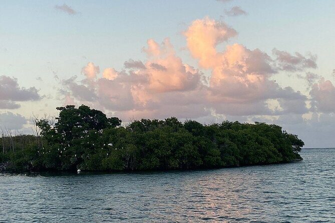 Guided Kayak Tour of Salt River Bay Ecology and History - What To Expect From the Experience