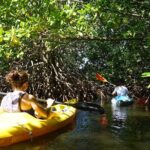 Guided Kayaking Tour of the Mitan Pond and its Mangrove - The Experience in Practice