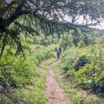 Guided Shioya Maruyama Hike with Scenic Views and Snacks - What to Expect on the Hike