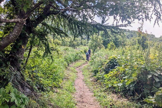 Guided Shioya Maruyama Hike with Scenic Views and Snacks - What to Expect on the Hike