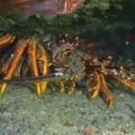 Guided Shore Dive Tour for Certified Divers - A Closer Look at the Goat Island Shore Dive Experience