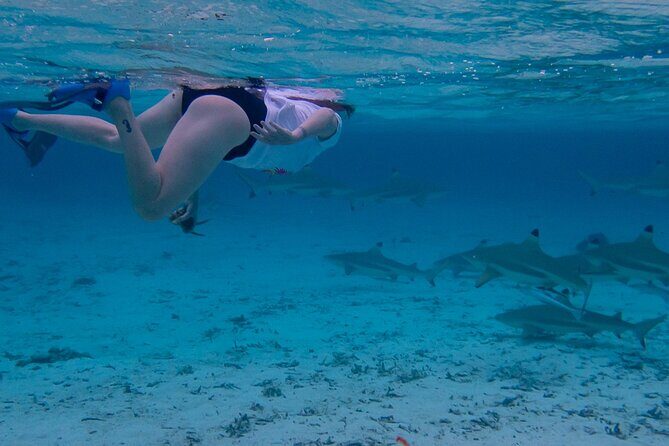 Guided Snorkeling and Relaxation on the Motu Ofetaro in Raiatea - Authentic Experiences and Real Traveler Insights