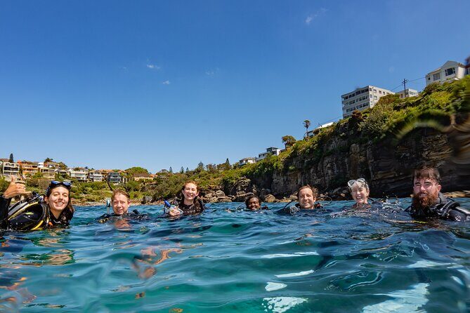 Guided Snorkeling Experience in Bondi - The Value of This Snorkeling Tour