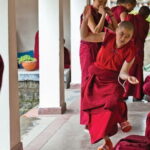 Guided Tibetan Culture Walk at Norbulingka,Gyuto and Nunnery - Practical Details and Logistics