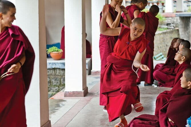 Guided Tibetan Culture Walk at Norbulingka,Gyuto and Nunnery - Practical Details and Logistics