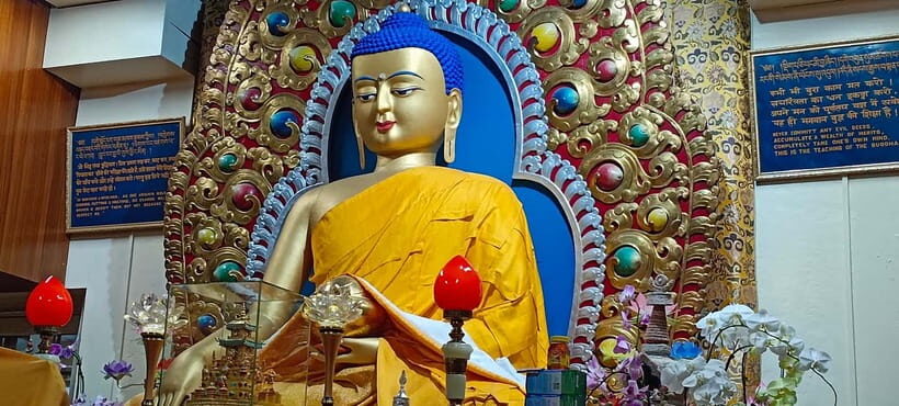 Guided Tour: Himachal Heritage - Art, Tea, Pottery & Culture - Final Thoughts