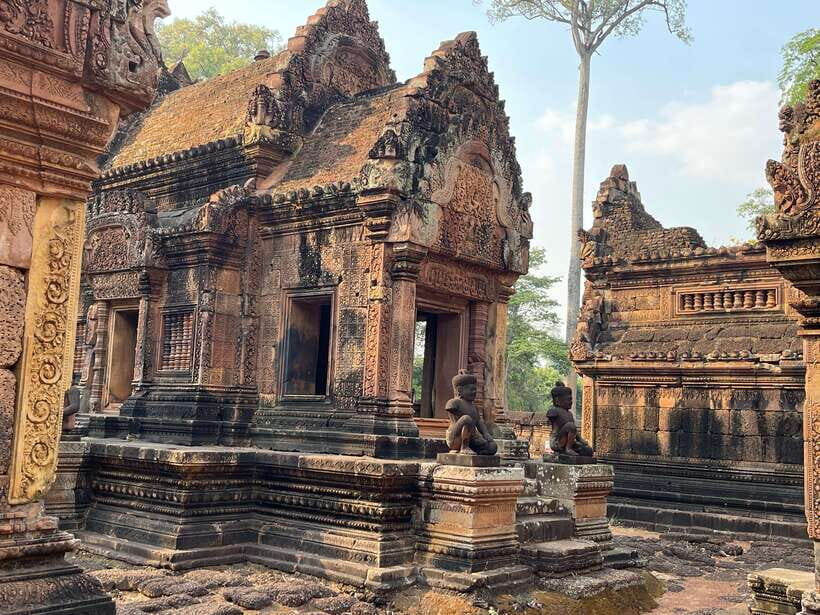 Guided Tour of Angkor Wat, Bayon, Ta Prohm, and Banteay Srei - Exploring the Temples in Detail