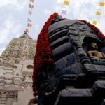 Guided Tour of Bodhgaya Temples and Buddha Sites - Who Is This Tour Best For?