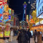 Guided Tour of Some Attractions in Osaka by Private Car - Transportation and Personalization