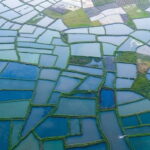 Guilin: Huixian Wetland Boat Ride & Glass Fields Tour - A Close Look at the Itinerary