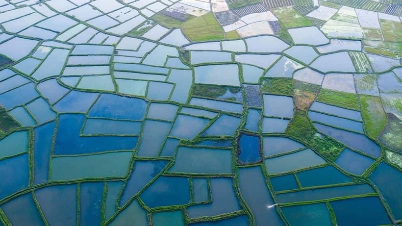 Guilin: Huixian Wetland Boat Ride & Glass Fields Tour - A Close Look at the Itinerary