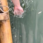 Guilin: Private & Customizable Tour with Local Guide - Introduction to the Guilin Private Tour