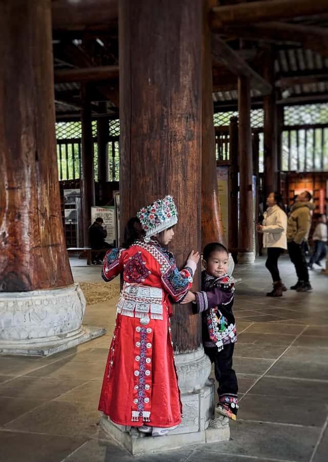 Guilin to Sanjiang: Dong Village, Local Lunch & Tea Mountain - Practical Tips and Considerations