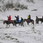 Gulmarg Day Trip: Horse Ride Through Scenic Landscapes - Discovering the Meadow of Flowers