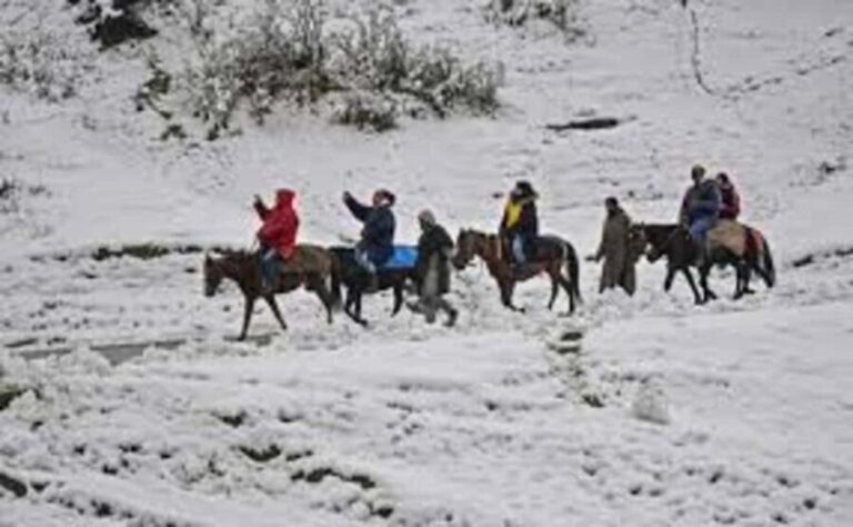 Gulmarg Day Trip: Horse Ride Through Scenic Landscapes - Discovering the Meadow of Flowers