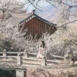 Gwangyang Plum Blossom & Gurye Sansuyu Festival Tour from Busan - What You’ll Get and What You Might Need to Bring