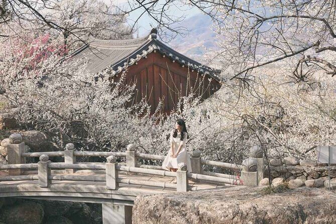 Gwangyang Plum Blossom & Gurye Sansuyu Festival Tour from Busan - Transport, Duration, and Overall Experience