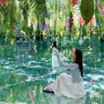 Gyeonggi Begonia Bird Park Ticket - Value for Money