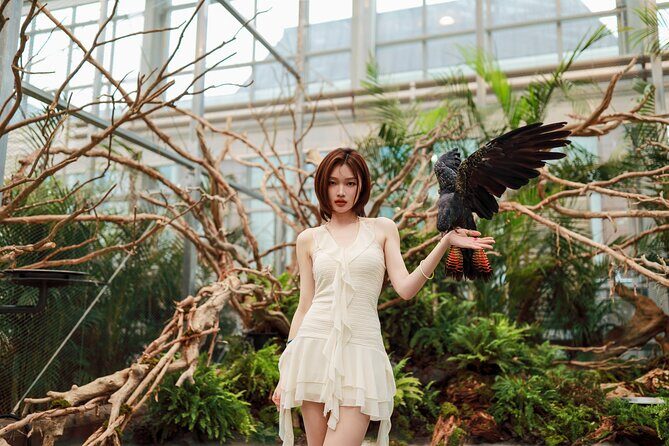 Gyeonggi Begonia Bird Park Ticket - What to Expect During Your Visit