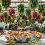 Gyeonggi: Gaypeong Begonia Bird Park Entry Ticket - Animal Encounters: Friendly and Unique Creatures