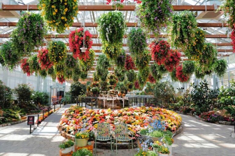 Gyeonggi: Gaypeong Begonia Bird Park Entry Ticket - Animal Encounters: Friendly and Unique Creatures