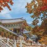 Gyeongju One-Day Tour from Daegu - Transportation and Group Dynamics
