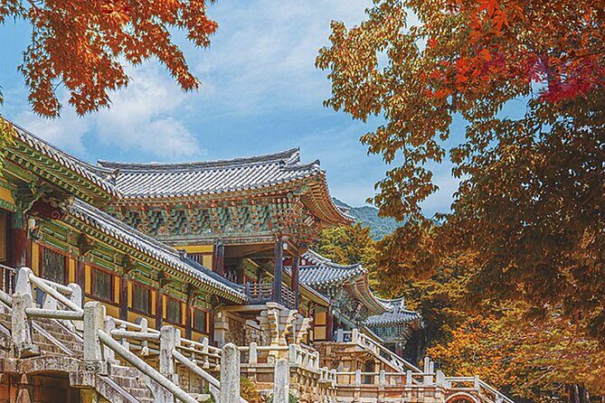 Gyeongju One-Day Tour from Daegu - Transportation and Group Dynamics
